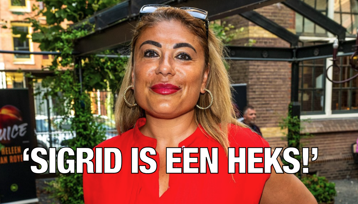 GeenStijl: Yesim Candan Vindt Sigrid Kaag Een Heks, D66 Een Elitaire ...