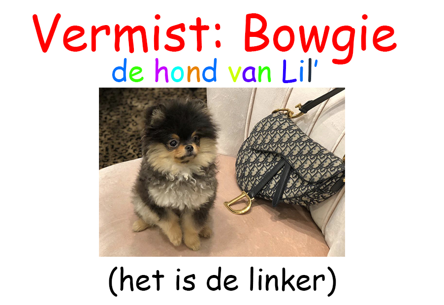 GeenStijl Lil Kleine Boos Na Vraag Over Aangelijnde Hond